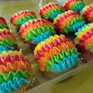 rainbow cupcakes carbondale illinois